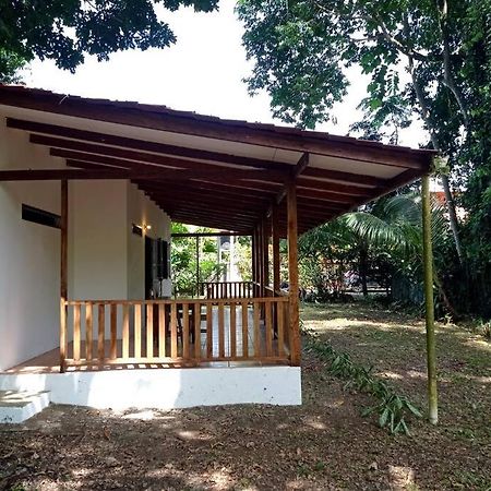 Puerto Viejo de TalamancaGreen Papaya别墅 外观 照片