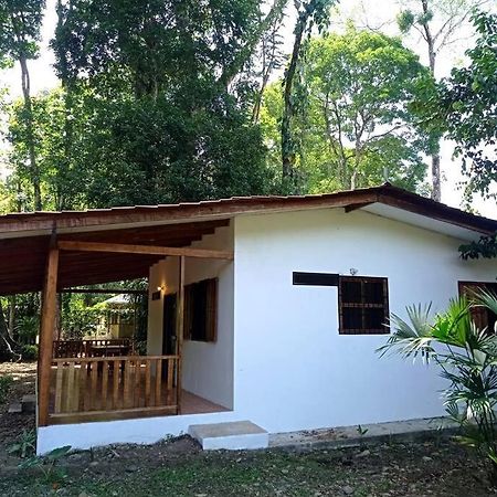 Puerto Viejo de TalamancaGreen Papaya别墅 外观 照片