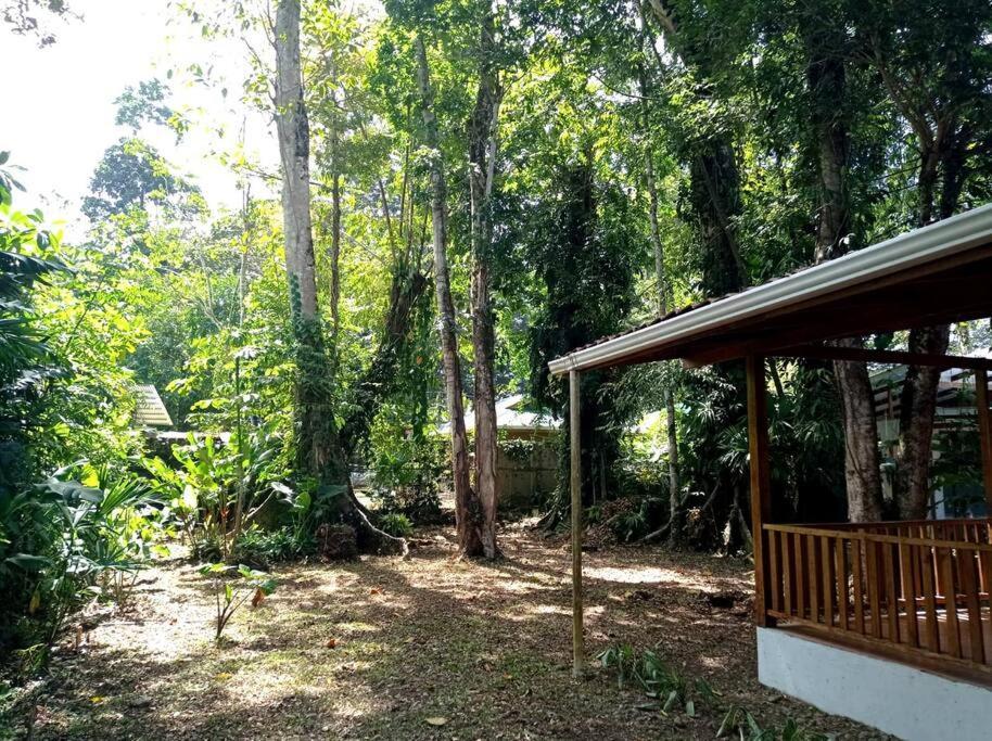 Puerto Viejo de TalamancaGreen Papaya别墅 外观 照片