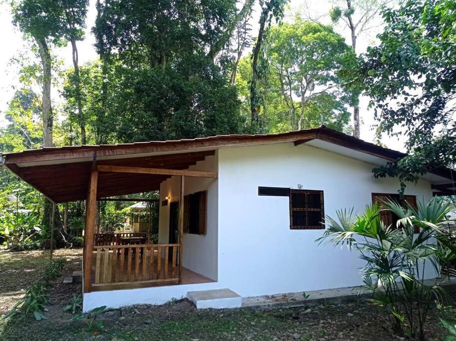 Puerto Viejo de TalamancaGreen Papaya别墅 外观 照片