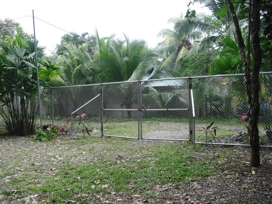 Puerto Viejo de TalamancaGreen Papaya别墅 外观 照片