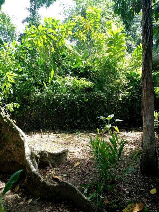 Puerto Viejo de TalamancaGreen Papaya别墅 外观 照片